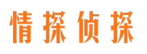 东山出轨调查